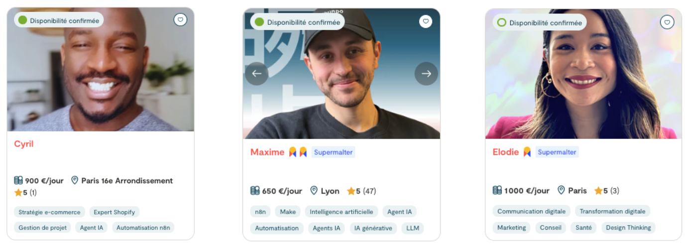 Profils Consultants IA sur Malt : 900, 650 et 1 000 € par jour